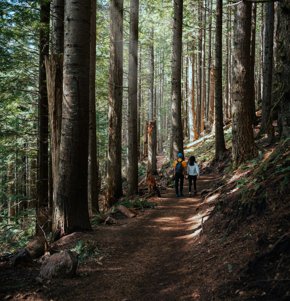 Mara Lake Cottages Area 3